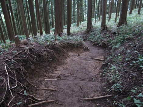 20150929hike (248)